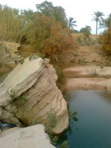 Une Oasis dans la commune de Selmana