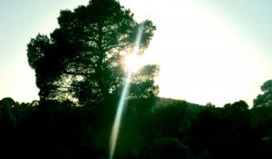 Coucher de Soleil sur la forêt de Dar Chioukh