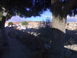 Cimetière de la Commune de Ain Maabed (Wilaya de Djelfa)