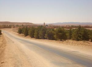 Entrée de la cité de Douis (Wilaya de Djelfa)