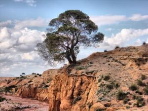 Entrée de Oued Zirek à Djelfa