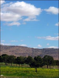 Paysage de Sghia (Wilaya de Djelfa)