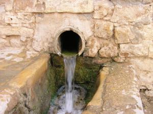 La source de Ain Cherchara (Commune de Ain El Ibel)