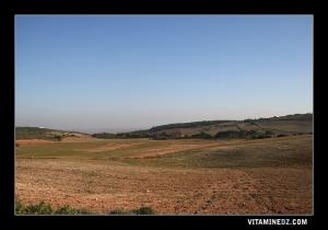 حقول زراعية بضواحي ڨديل