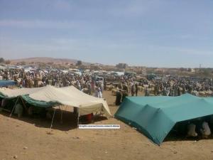 Le Marché de Bestiaux à Djelfa