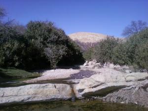 Paysage de Amourah (Wilaya de Djelfa)