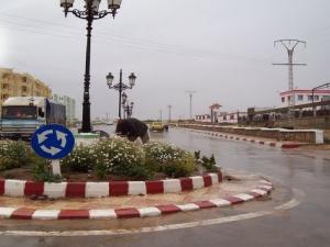 Un rond point de Djelfa