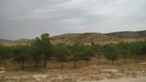 ROUTE NATIONALE 01 DE HASSI BAHBAH VERS AIN OUSSSERA