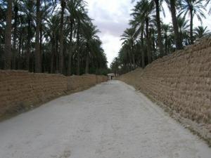 ممر عبر واحات طلڨة