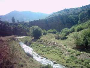 منظر طبيعي بضواحي جبال الحوراس