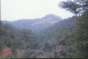 منظر طبيعي ببلدية شيلية (ولاية خنشلة)