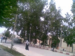 Allée de l'Université de Sétif