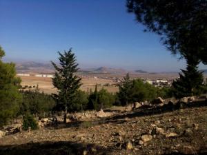 Vue sur la commune de Salah Bey