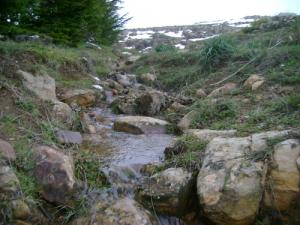 Fonte des Neiges au mont Megres (Alentours de Sétif)
