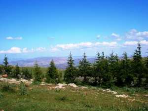 اللاعب الجزائري لكرة اليد مسعود العيادي