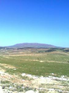 La région de Megres au printemps