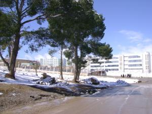 Université de Sétif sous la neige