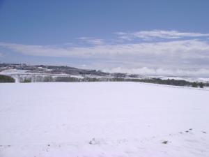 L'Université de Sétif sous la neige