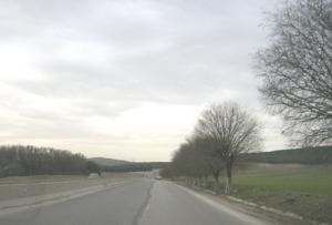 Sur la route de la commune d'El Ouricia (Wilaya de Sétif)