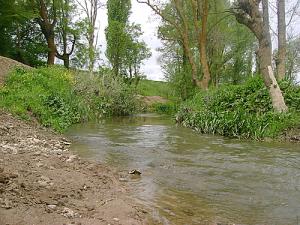 Rivière traversant la verdure de Boussellam (Wilaya de Sétif)