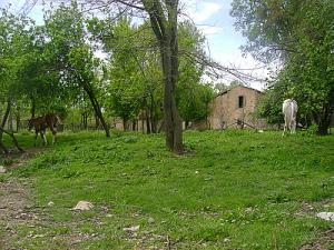 Un village de la commune de Boussellam