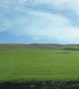 Une Belle Journée de Printemps sur la périphérie de Sétif