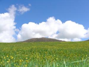 Le Printemps à Megres