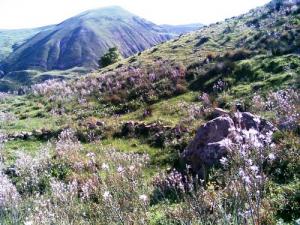 Mont de Chilkene (Wilaya de Sétif)