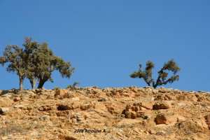 منظر من ضواحي بني ميلك