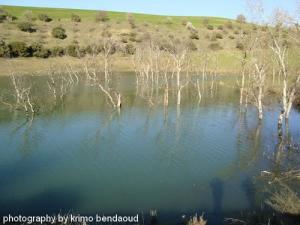 Le barrage de Bouamrane en été (Commune de Ammoucha)