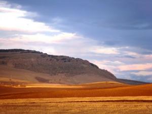 Vue sur les champs moissonnés de la région de Tarmount