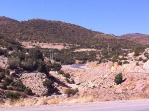 Entrée des Forets d'Ouled Tebane