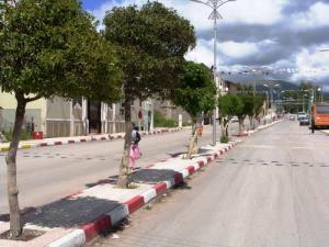 Rue Cheikh Lafia (Setif)