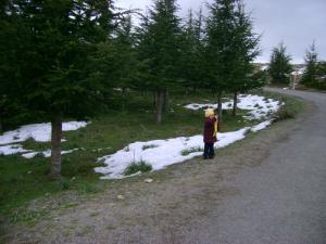 Fonte des neiges dans la Forêt de Megres (Wilaya de Setif)