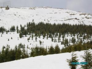 Megres sous la neige, Sétif
