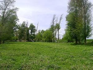 Verdure sur la commune de Boussellam