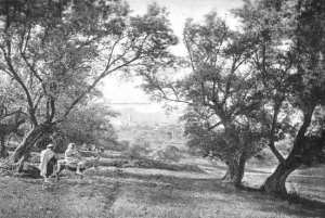 صورة قديمة من ضواحي مدينة تلمسان