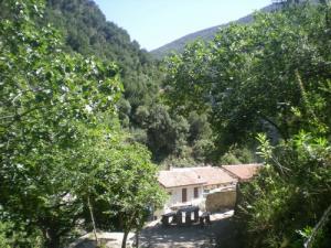 وادي القردة ببلدية شيفة 1