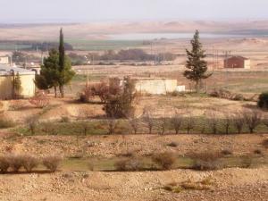 Les jardin d'El Gueddid