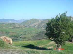 Vue sur les montagnes Setifiennes