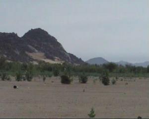 مهرجان فلكلوري بقرية  تيمياوين  10