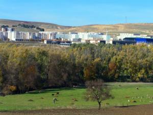 Sétif la nouvelle ville