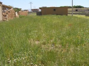 Le printemps arrive sur la région de Addaoua