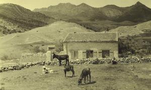 Anciene Photo prise de la commune de Hamma (période coloniale)