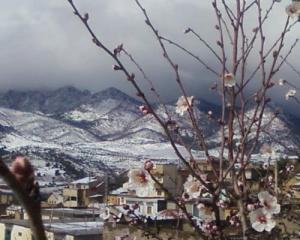 La commune de Hamma sous la neige