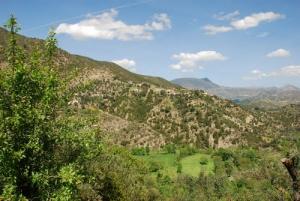 Verdure du printemps dans la région de Thagma Nlemroudj