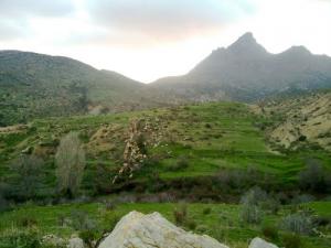 Verdure sur la périphérie de Sétif à l'arrivée du Printemps