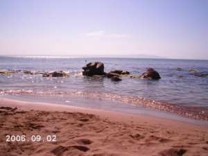 ساحل برج البحري