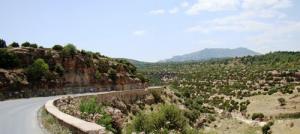 Vue sur la région de Soubella (Wilaya de Setif)