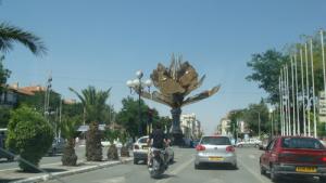 Un Palmier artificiel à Setif